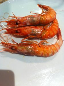 Ponzano Gamba roja