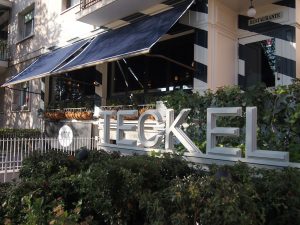 teckel