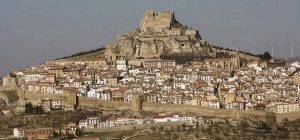 Morella