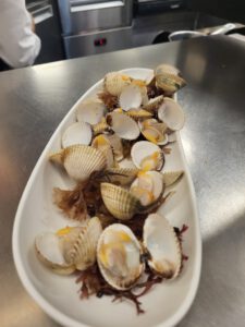 berberechos xl canabota